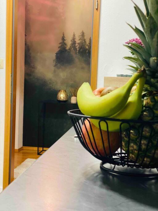 Ruhige Wohnung Im Schwarzwald 빌린겐슈베닝겐 외부 사진
